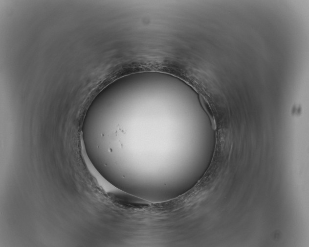X0000090631057200707241147