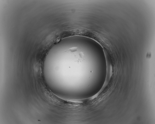 X0000090631058200707241147