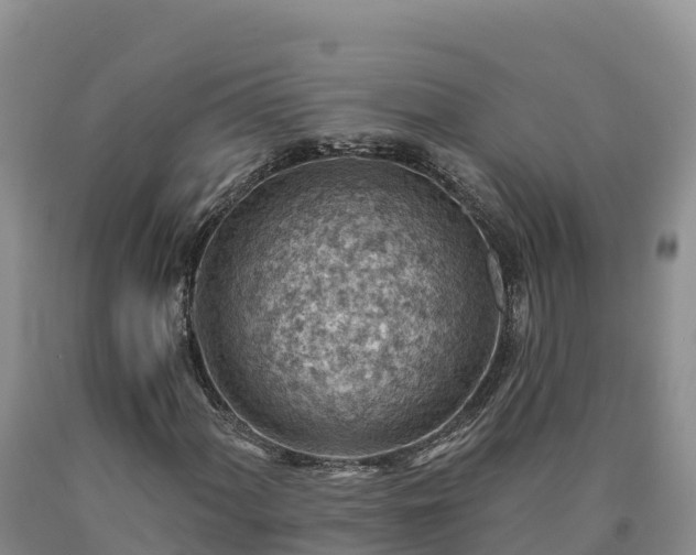 X0000090631060200707241147