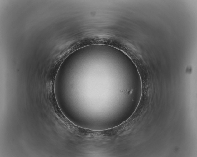 X0000090631061200707241147