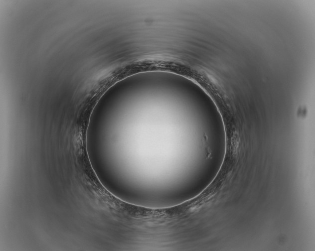 X0000090631062200707241147
