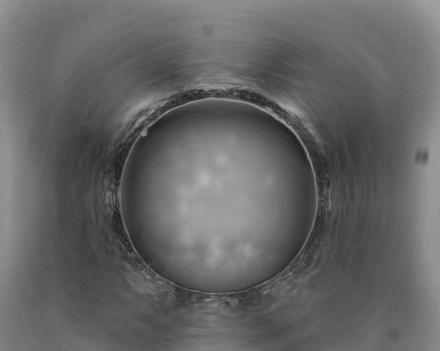 X0000090631063200707241147