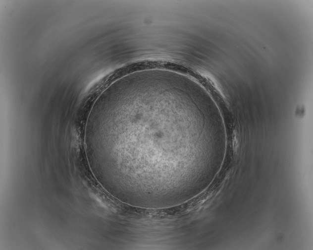 X0000090631064200707241147