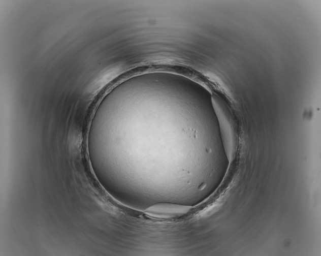X0000090631065200707241147