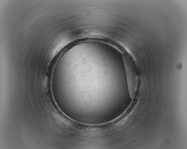 X0000090631066200707241147