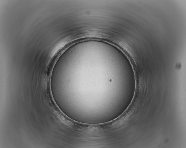 X0000090631067200707241147