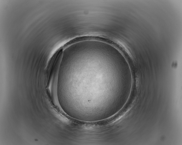 X0000090631069200707241147