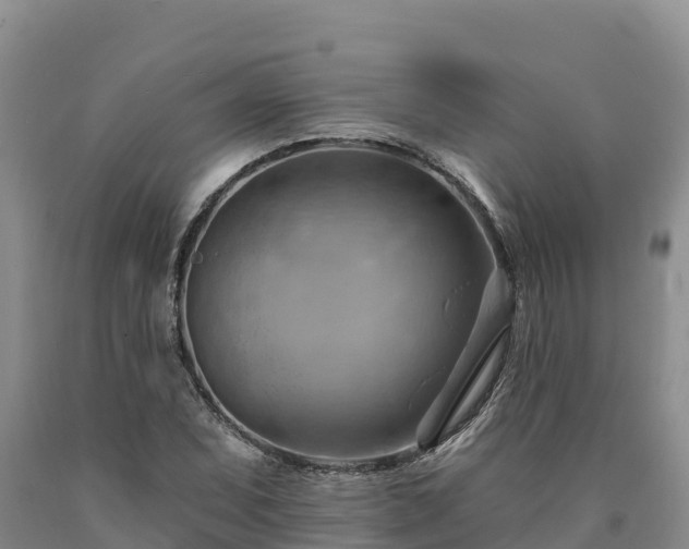 X0000090631071200707241147