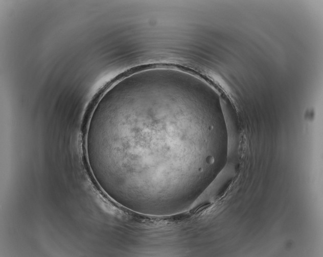 X0000090631072200707241147