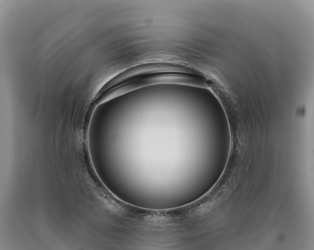 X0000090631073200707241147