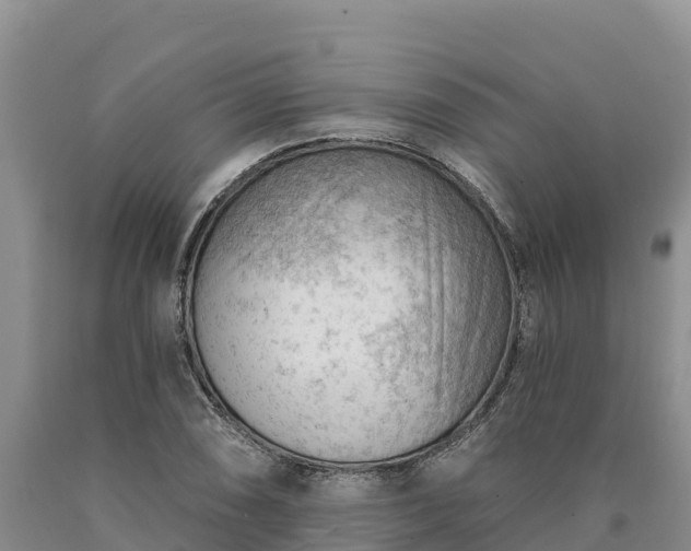X0000090631074200707241147