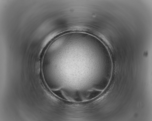 X0000090631075200707241147