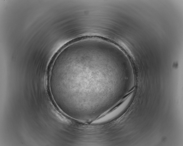 X0000090631076200707241147
