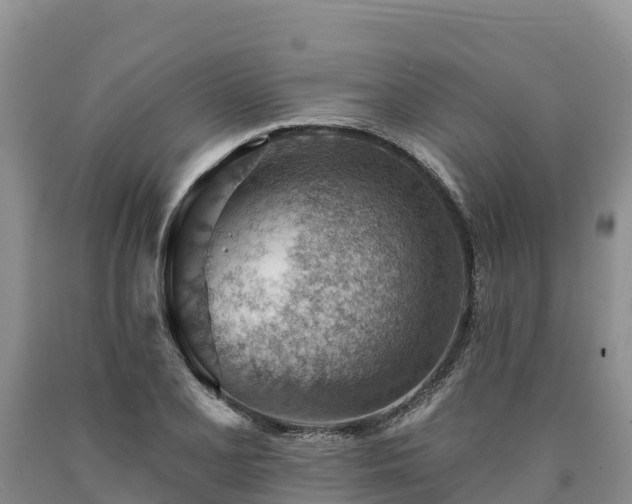 X0000090631077200707241147
