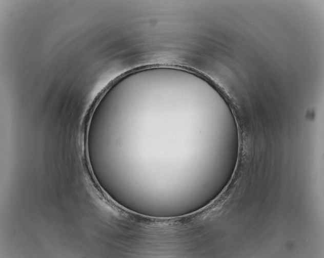 X0000090631078200707241147