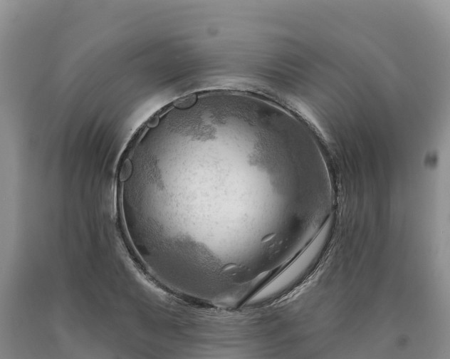 X0000090631079200707241147