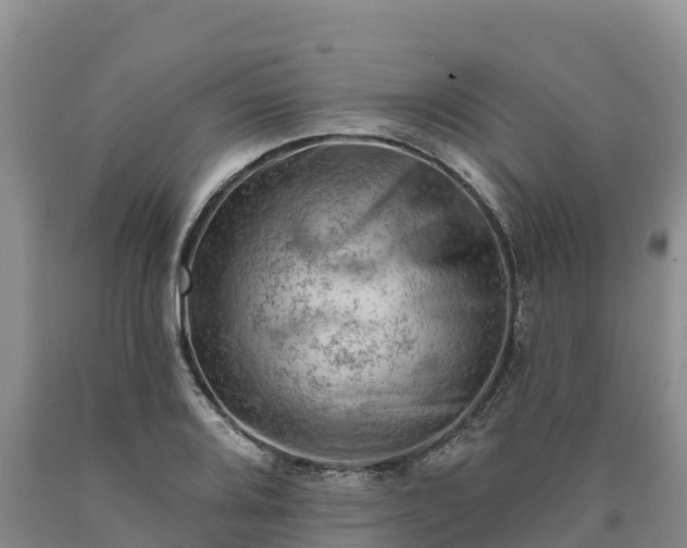 X0000090631080200707241147