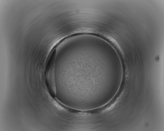 X0000090631081200707241147