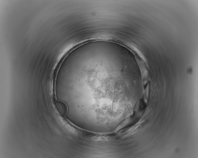 X0000090631083200707241147