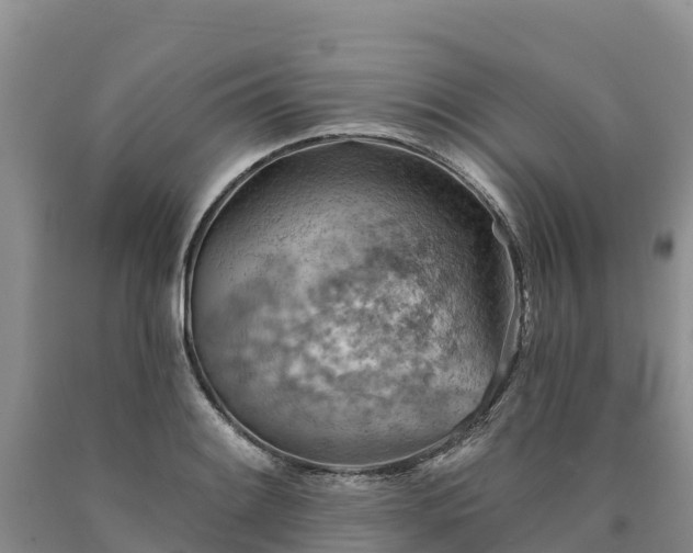 X0000090631084200707241147