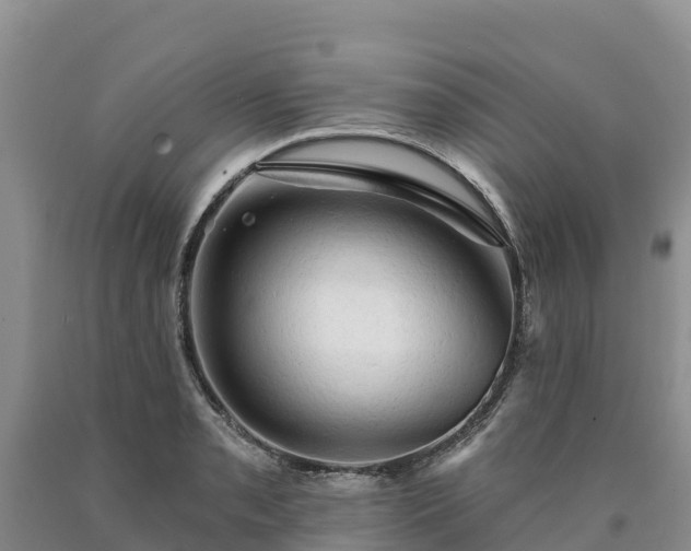 X0000090631085200707241147
