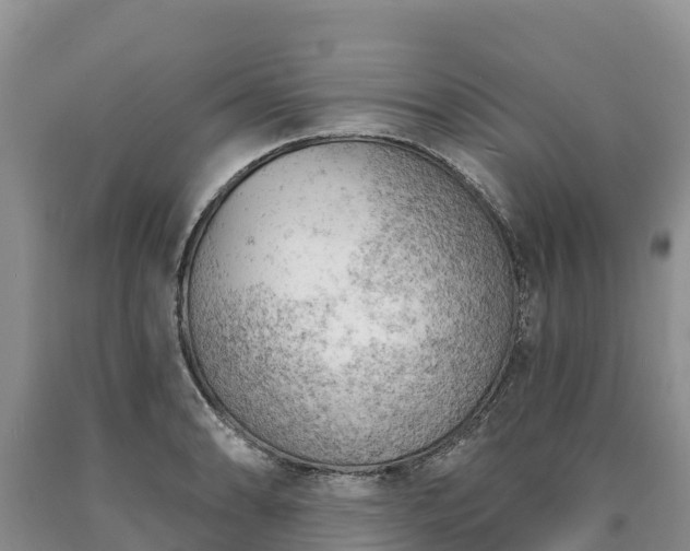 X0000090631086200707241147