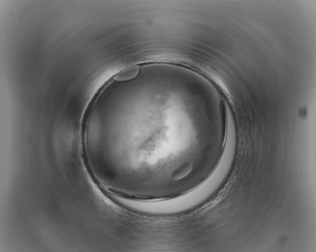 X0000090631087200707241147