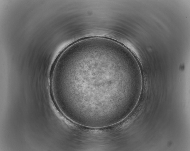 X0000090631088200707241147