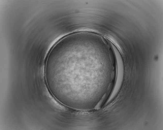 X0000090631092200707241146