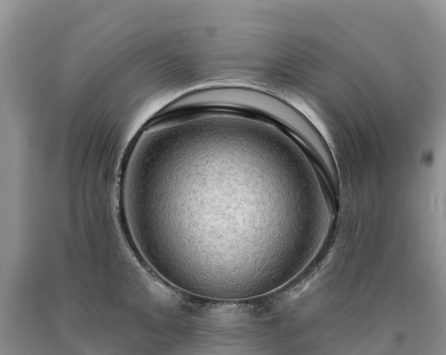 X0000090631093200707241146