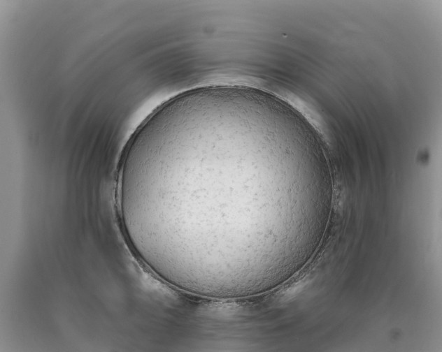 X0000090631094200707241146
