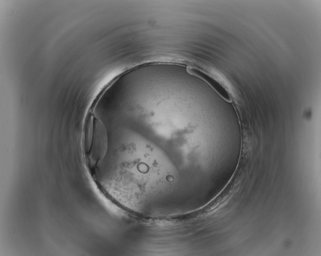 X0000090631095200707241146