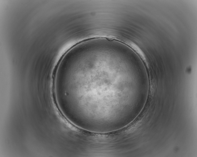 X0000090631096200707241146