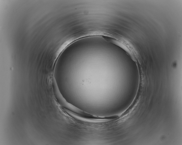 X0000090631097200707241146