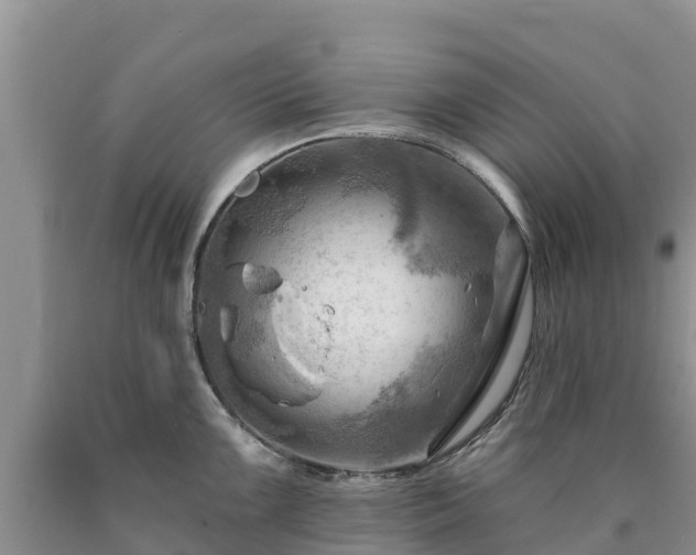 X0000090631099200707241146