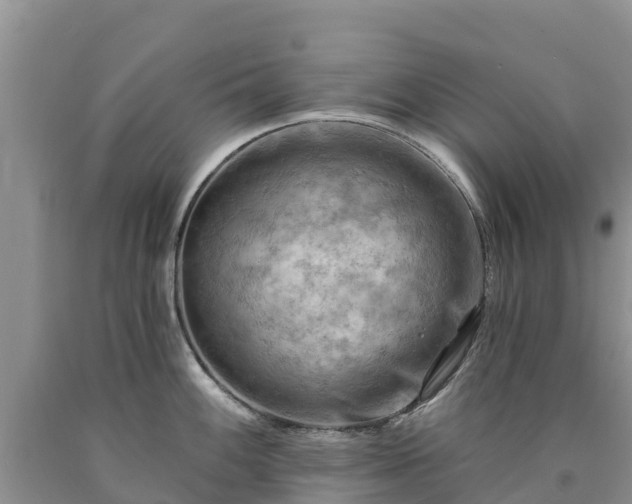 X0000090631100200707241146