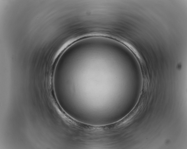 X0000090631101200707241146