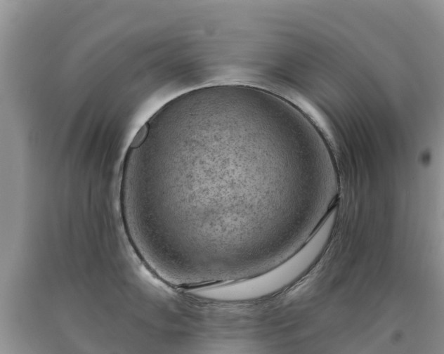 X0000090631102200707241146