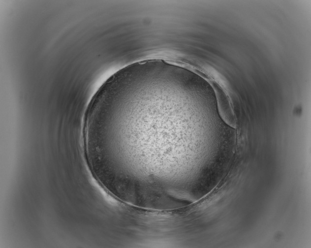 X0000090631103200707241146