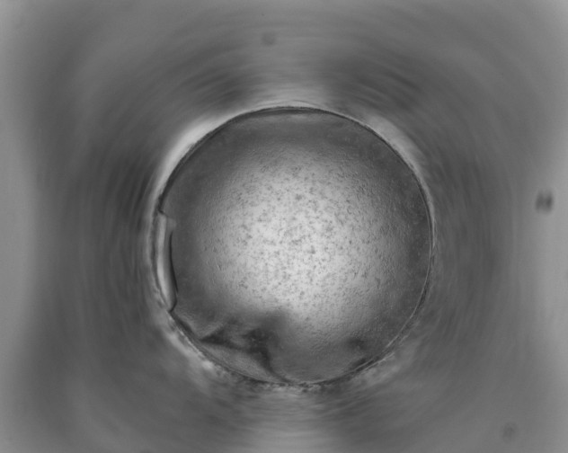 X0000090631104200707241146