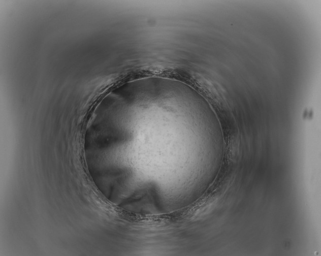 X0000090631105200707241146