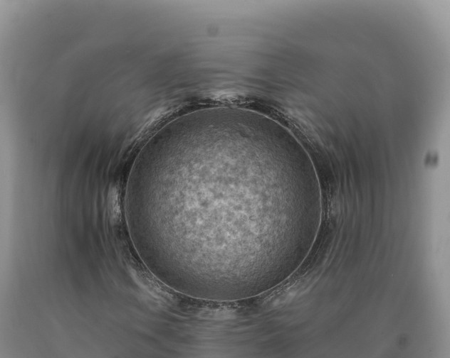 X0000090631106200707241146