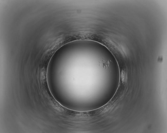X0000090631107200707241146