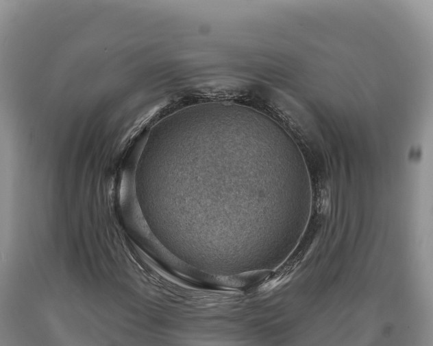 X0000090631108200707241146