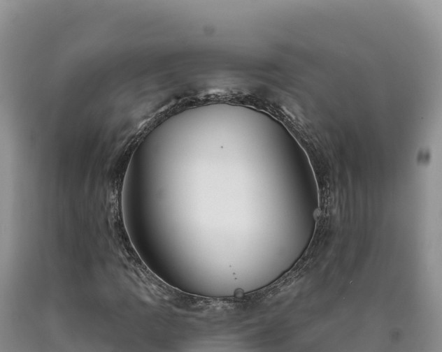X0000090631109200707241146