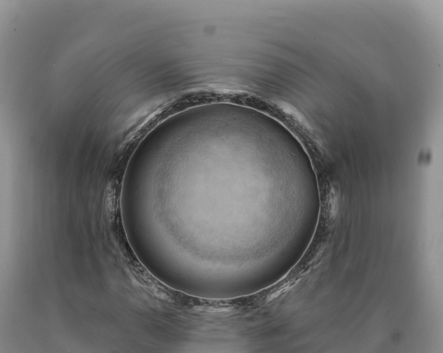 X0000090631110200707241146