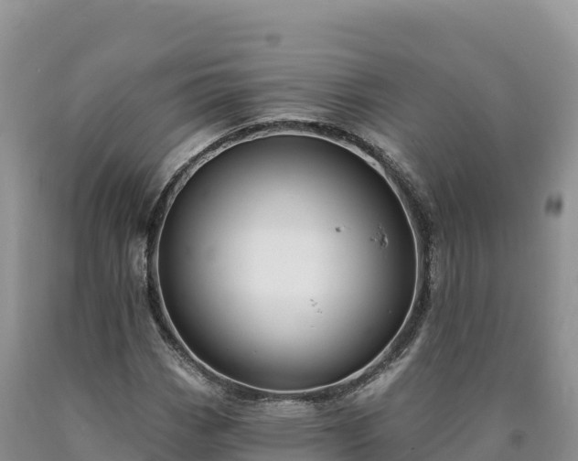 X0000090631113200707241146