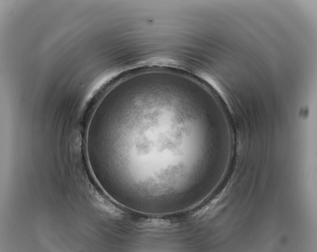 X0000090631115200707241146