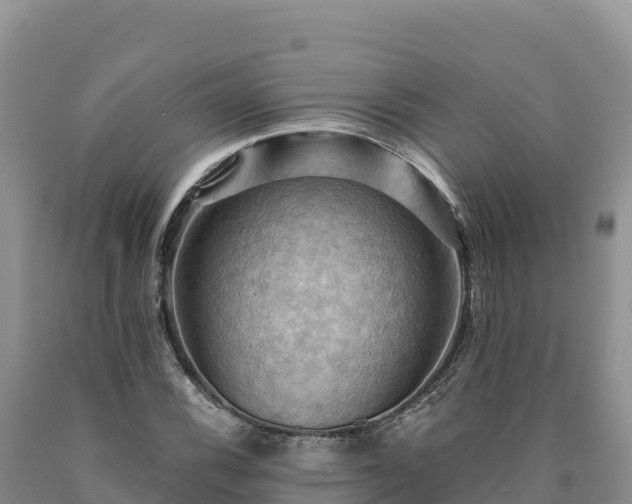 X0000090631116200707241146