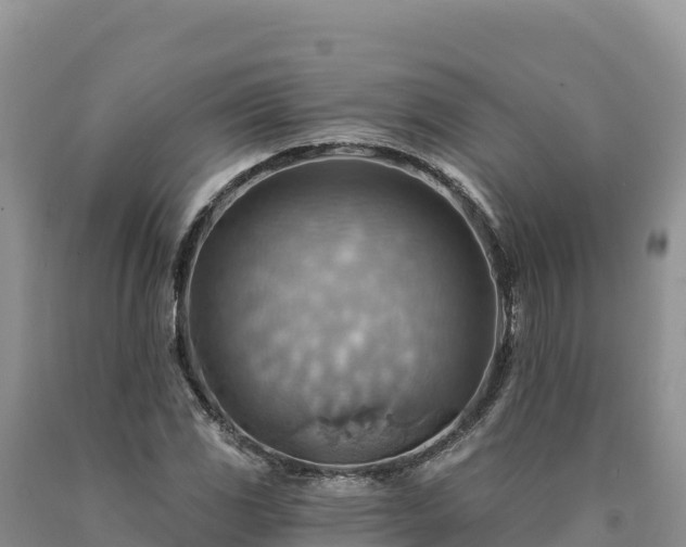 X0000090631117200707241146